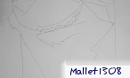 mallet1308