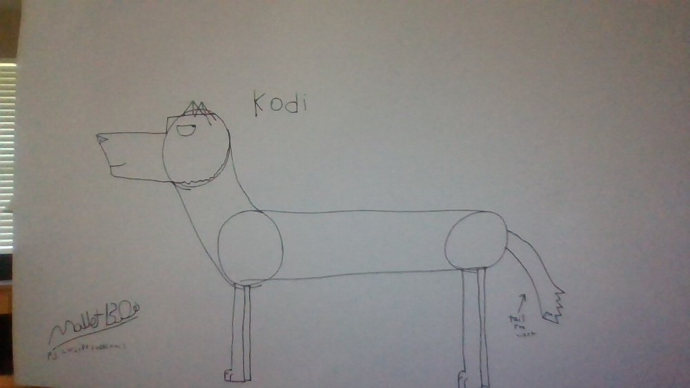 kodi sketch