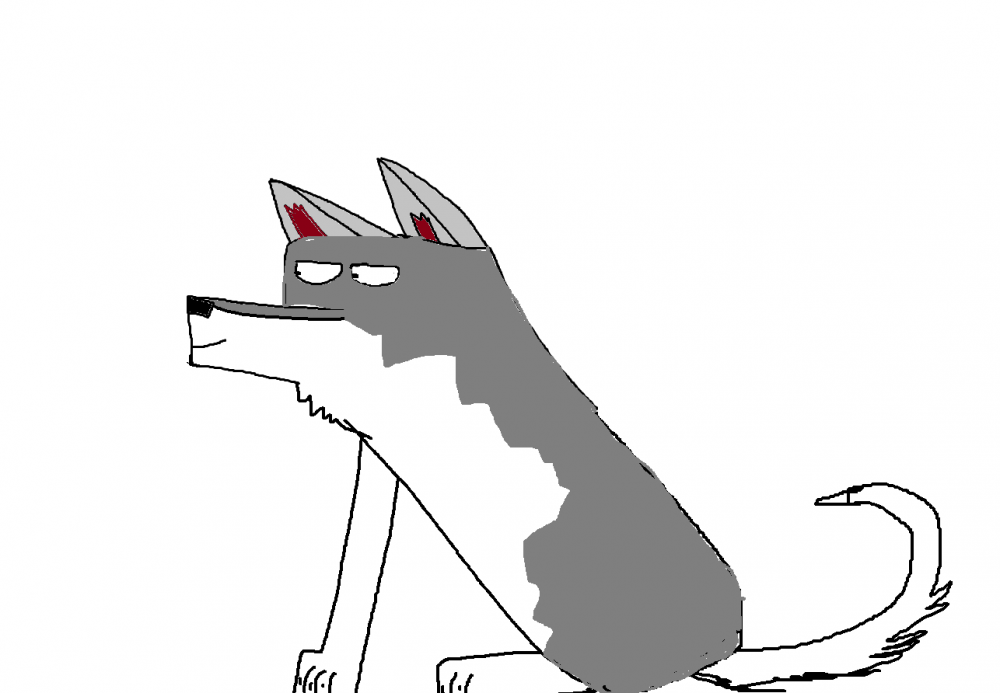 ow 