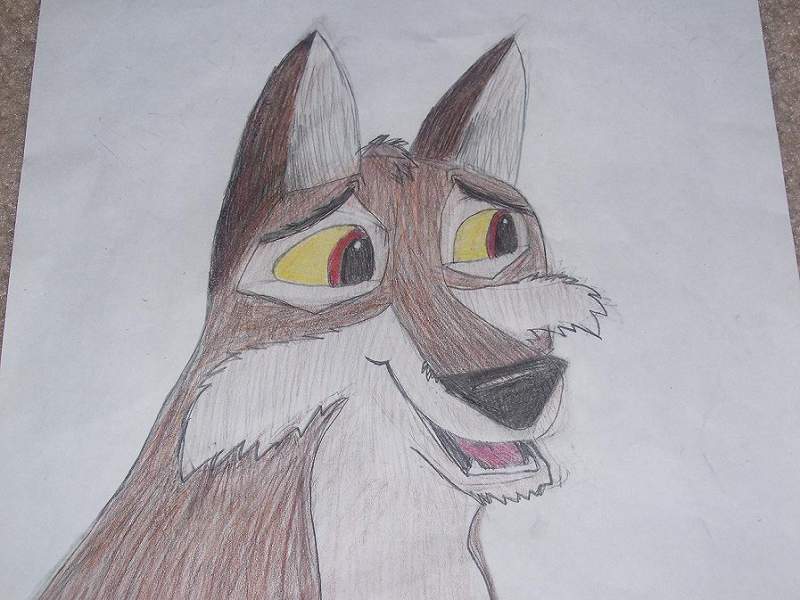 Balto!