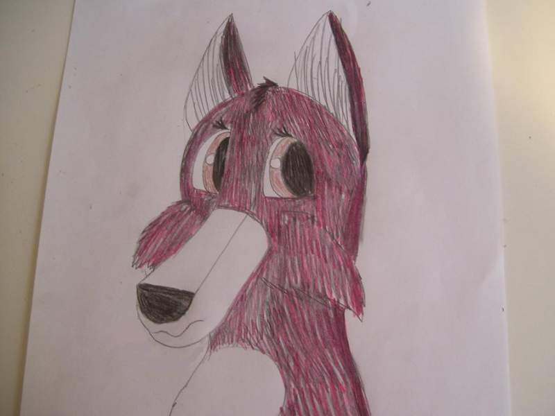 Rayoni (Ray)