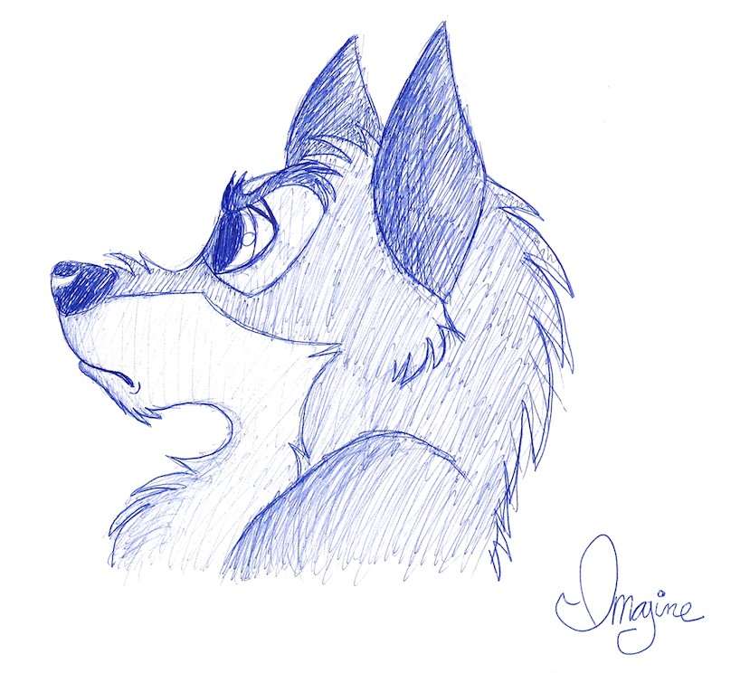 Balto pen sketch