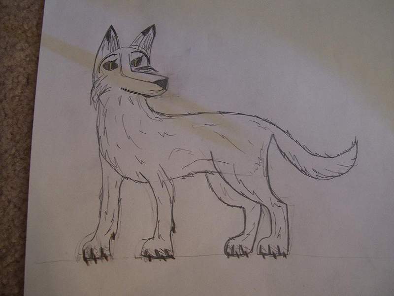 Aniu