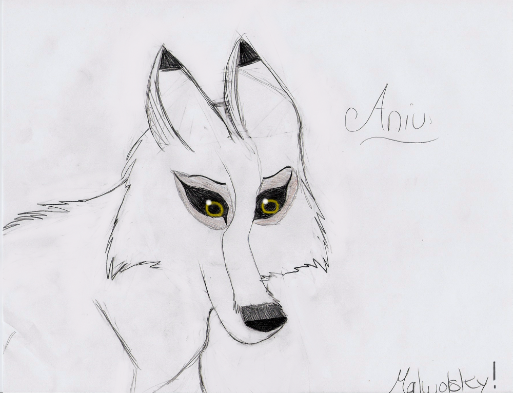 Better Aniu