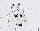 Better Aniu