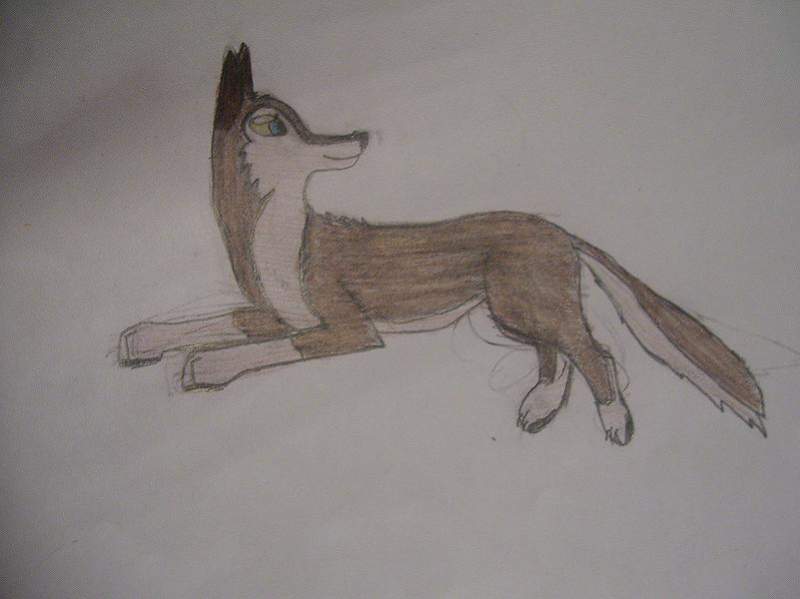 Aleu