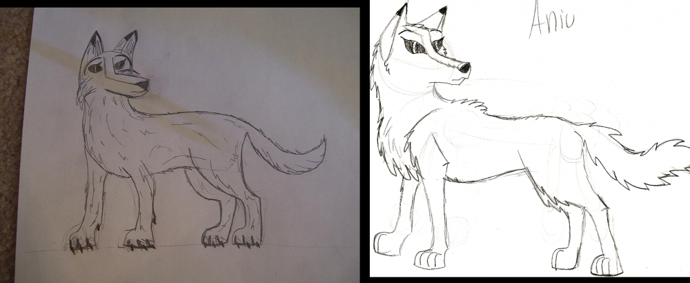 Aniu then and now