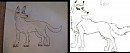Aniu then and now