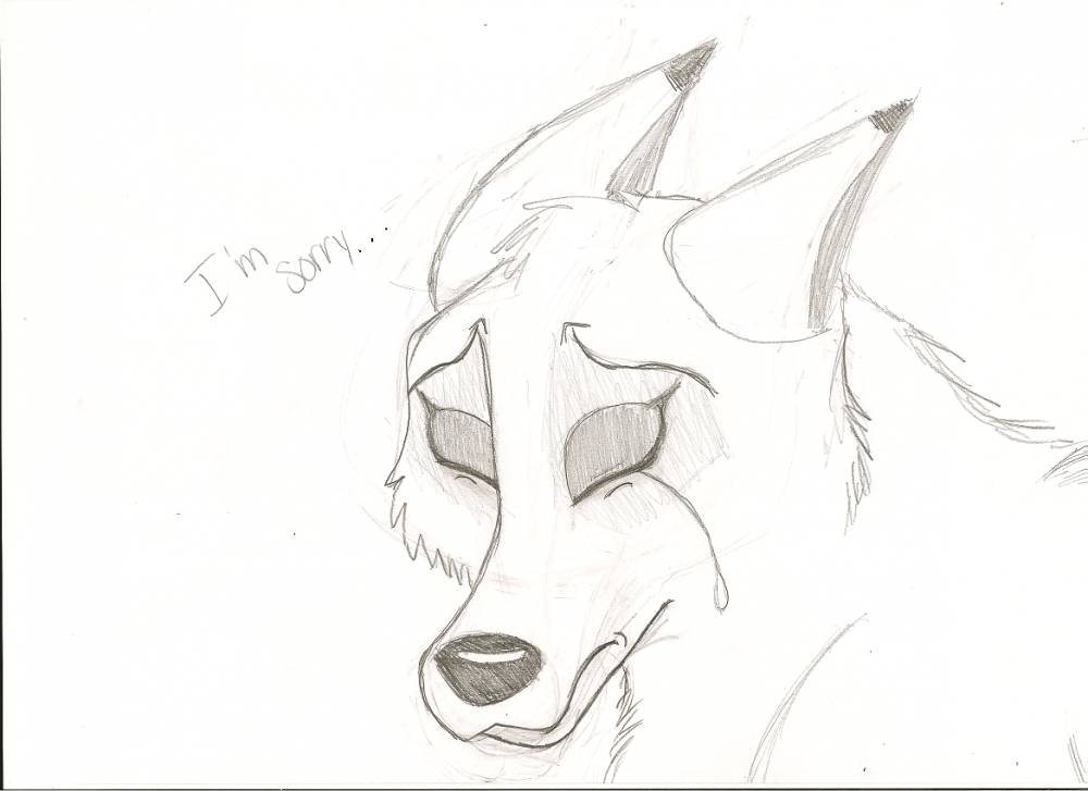 aniu new sketch