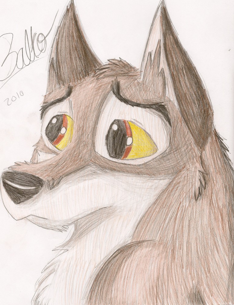 Balto drawing