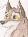 Balto drawing