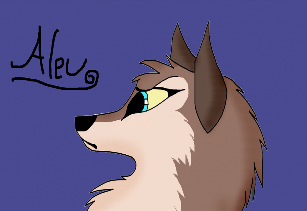 Contest Entry