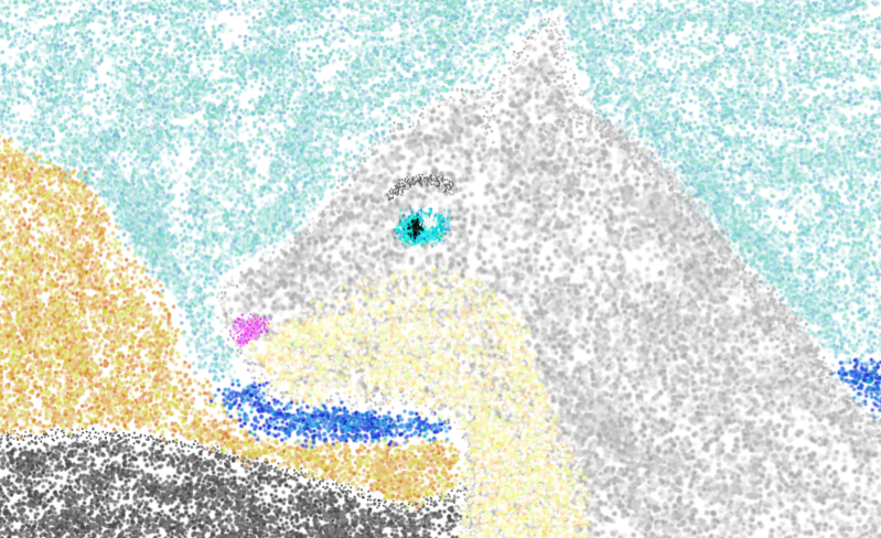Island Princess - Daughter of Balto