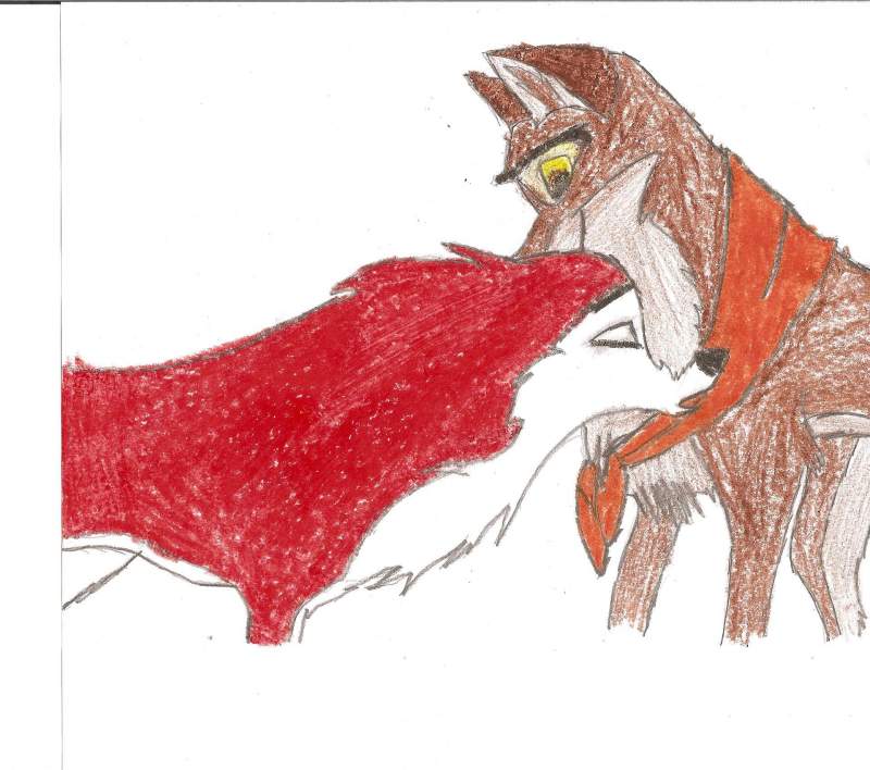 balto and jenna 2
