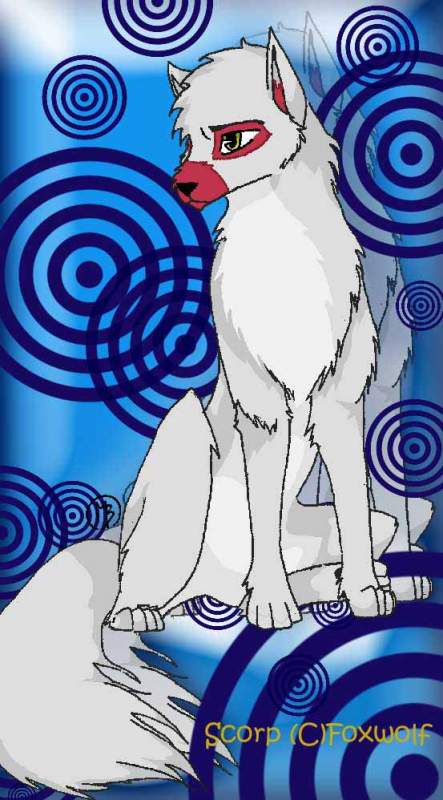 SCORP THE WOLF