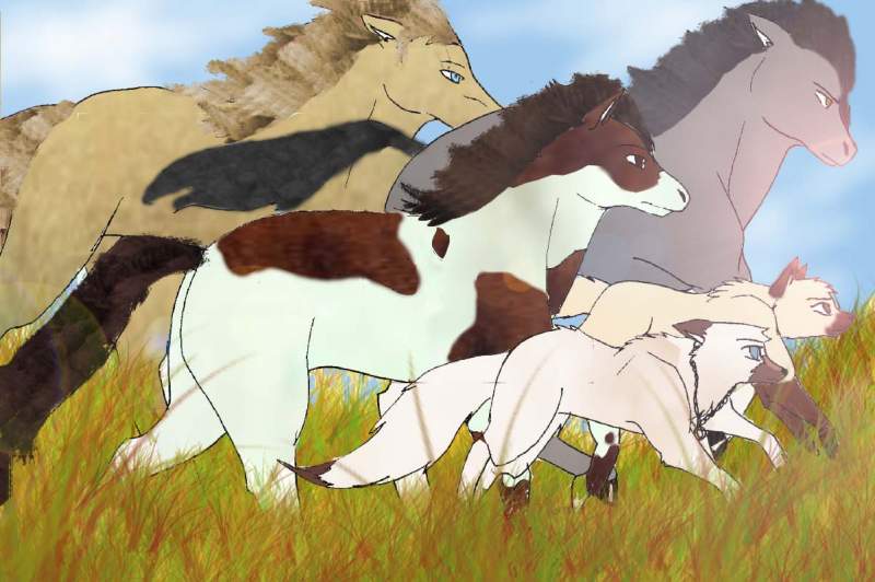 Niki and Autumn running with horses