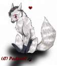 Padfoot
