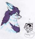 Gift art for Night