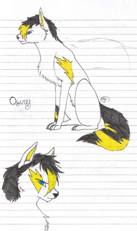 Osiry