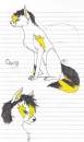 Osiry