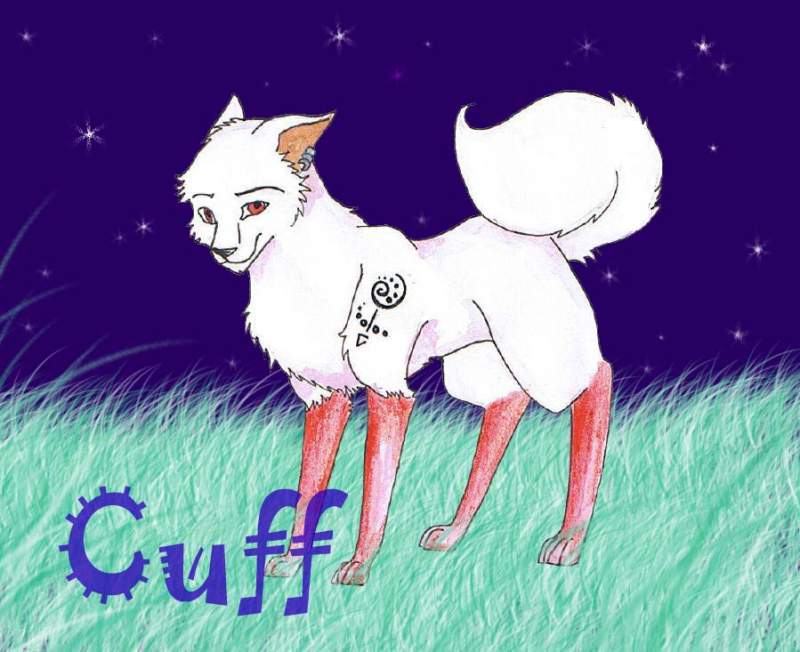 Cuff