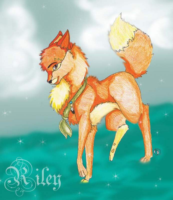 Riley