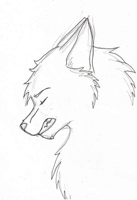 Sad wolf