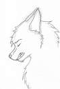Sad wolf