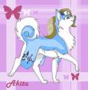 Akita