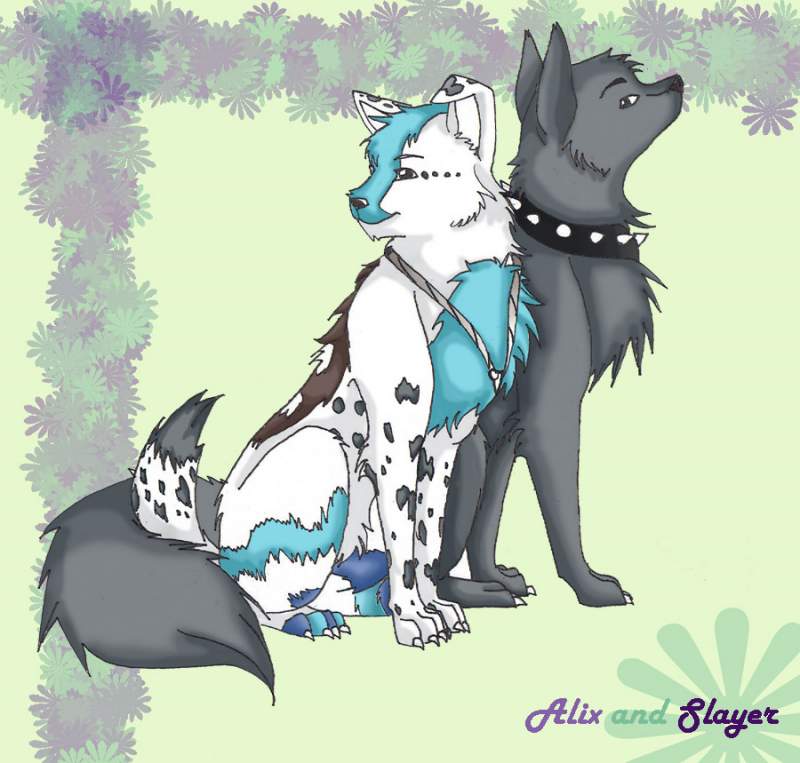 Slayer and Alix for BlueEyes 101