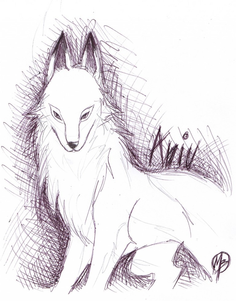 Aniu the white wolf