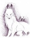 Aniu the white wolf