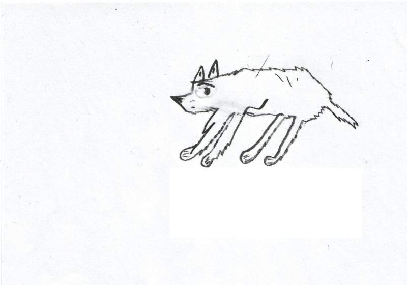 Wolf (random) 