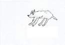 Wolf (random) 
