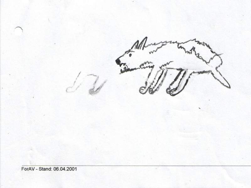 a snarling wolf