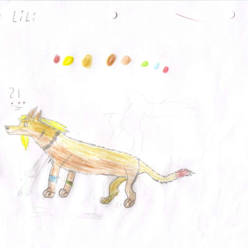 new chracter - lili