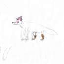 art trade with wolf-lion