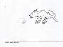 a snarling wolf