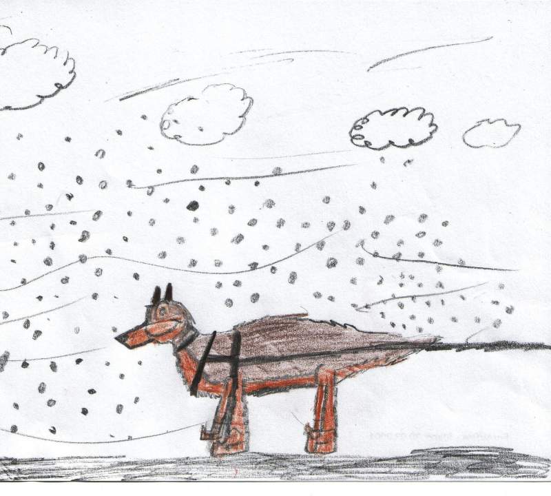 Balto