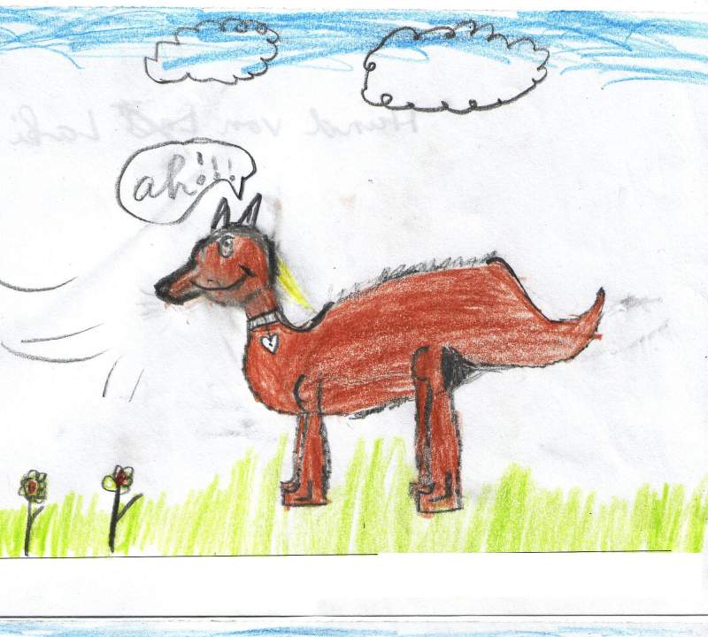 Lucky luke`s dog 