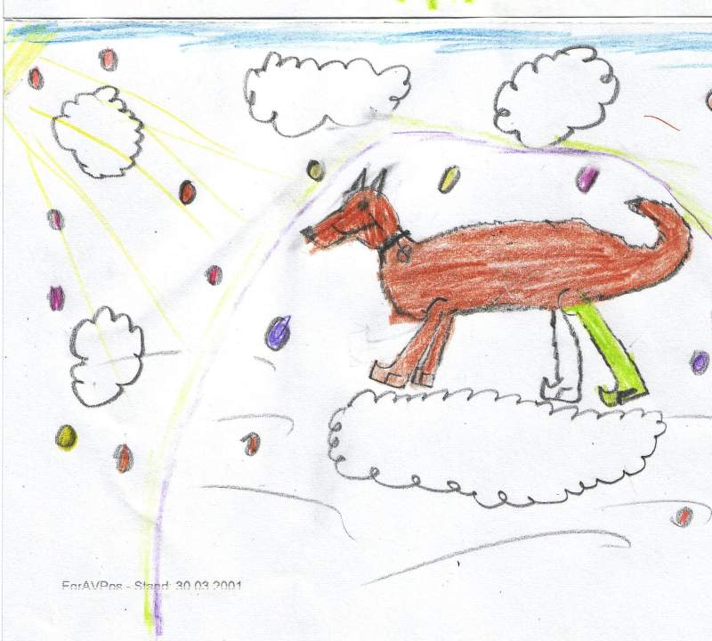 a wolf in the clouds