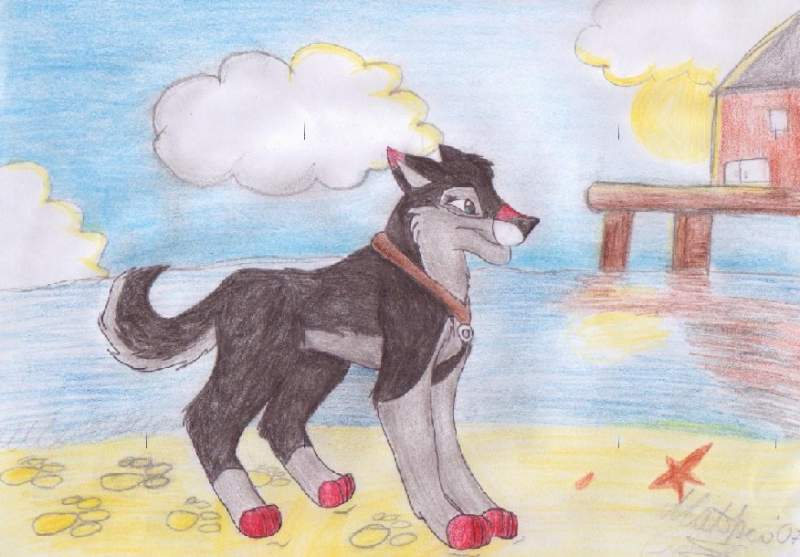 Giftart- For Shilla Husky
