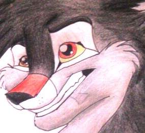 Shilla Wolf -headshot-