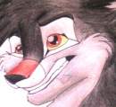 Shilla Wolf -headshot-