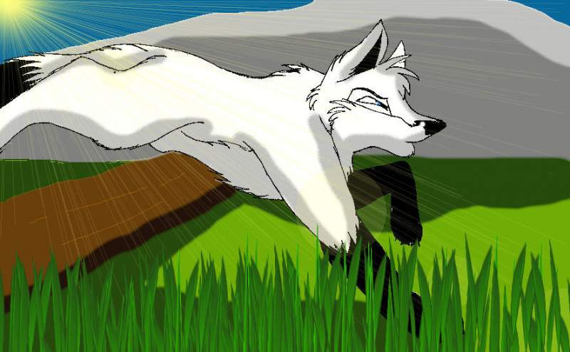 Birthday gift for Axel