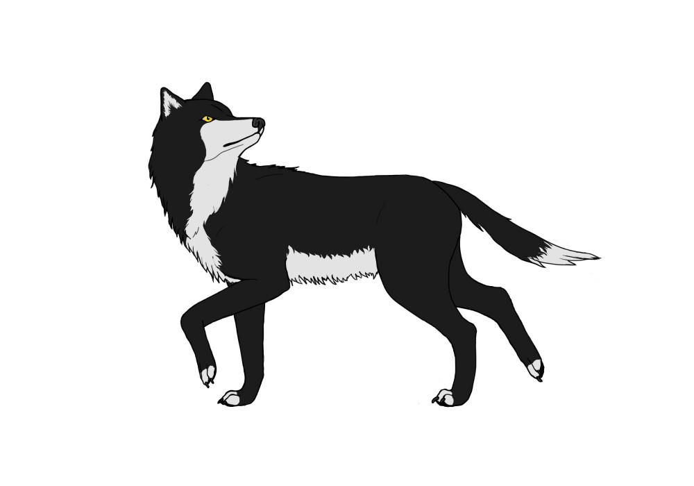 Shadow Request