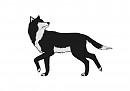 Shadow Request