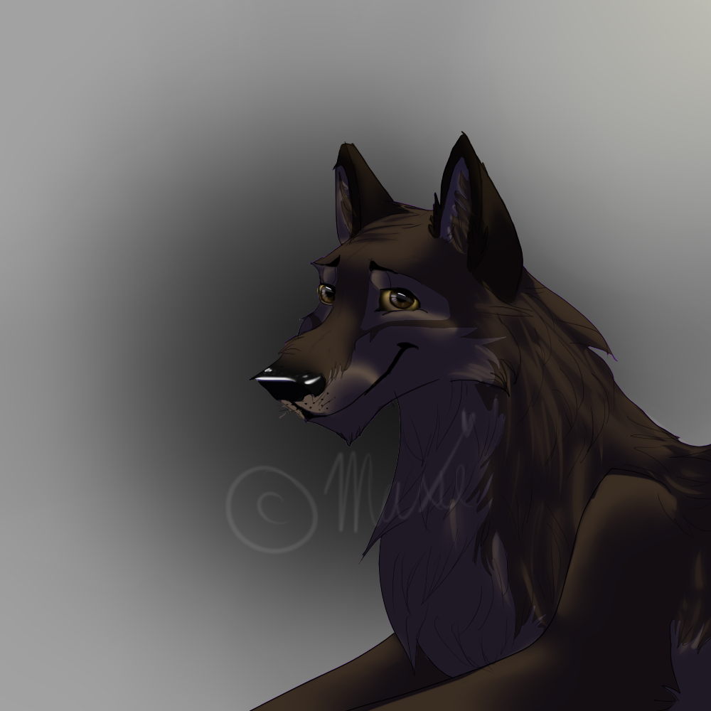 Balto   Shading/Eye Practice