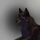 Balto   Shading/Eye Practice