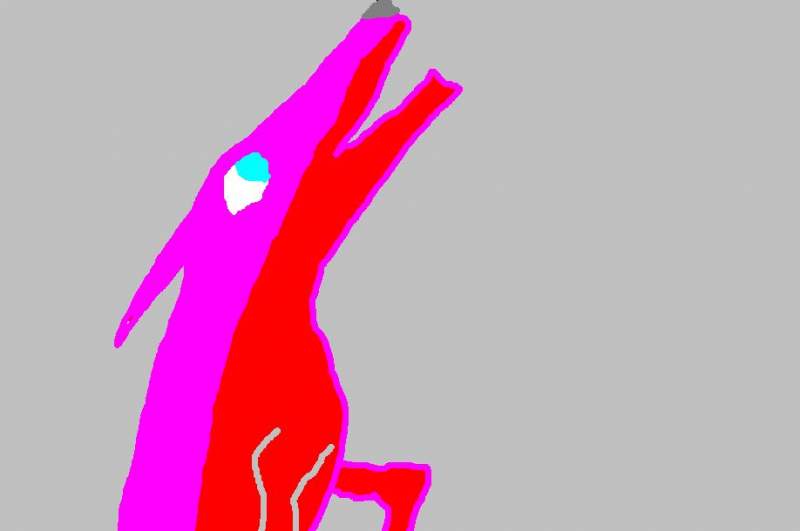 for wolf_fang30